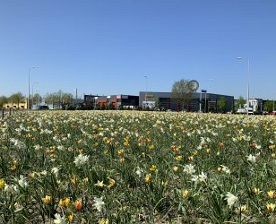  Eerste resultaten project in Haaksbergen zichtbaar