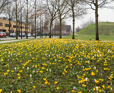 Gemeente Amersfoort