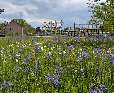 Eerste monitoring - Station Dieren