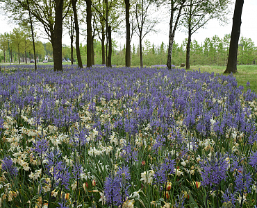 Gemeente Laarbeek - Ginderdoor