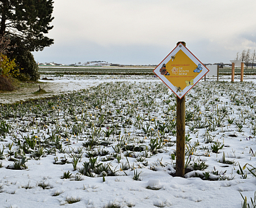 Bonte Berm - JUB Holland